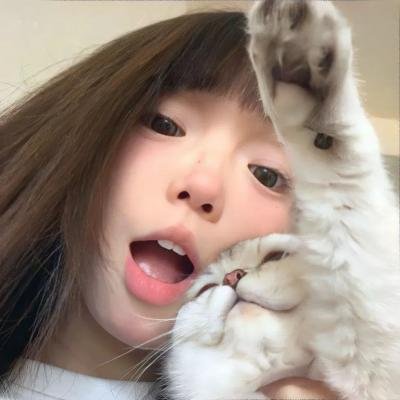 雄狗狗大冒险